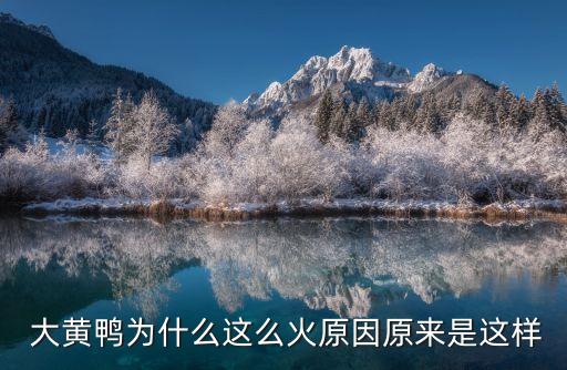 大黃鴨,關于大黃鴨你知道多少?