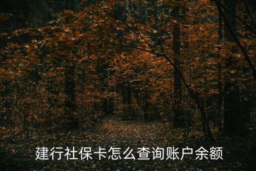 建行社保卡怎么查詢賬戶余額