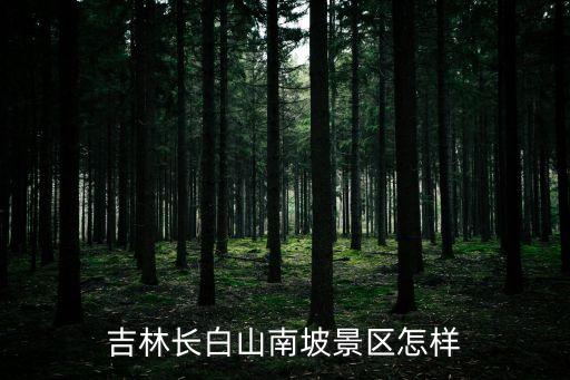 吉林長白山南坡景區怎樣