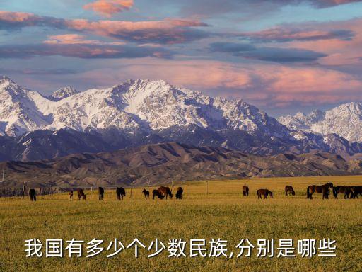 多少個民族,中國一共有多少個民族?