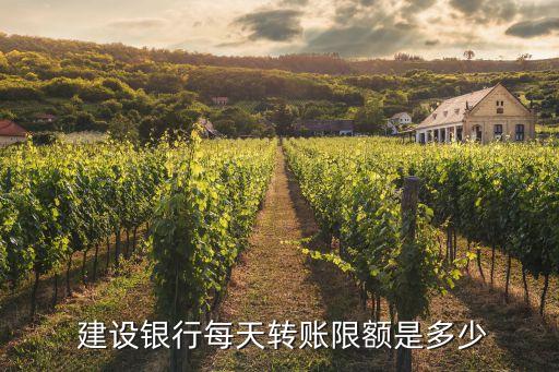 建設(shè)銀行,中國(guó)建設(shè)銀行是什么銀行?