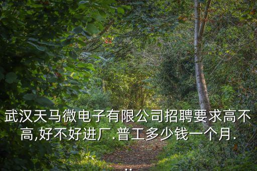武漢國企招聘,國企招聘啟事工資6-8千變4千