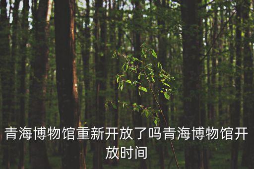 青海博物館重新開放了嗎青海博物館開放時(shí)間
