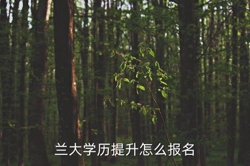 蘭大學歷提升怎么報名