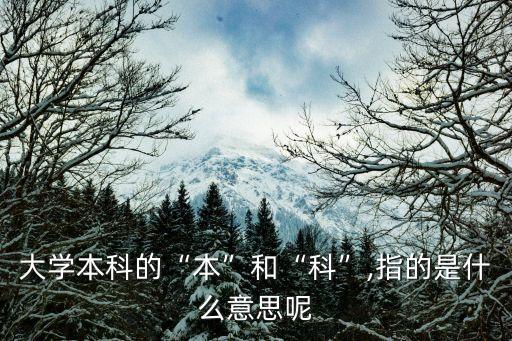 什么本什么科,洋蔥是什么科的什么本植物?