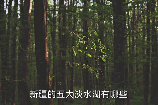 新疆的五大淡水湖有哪些
