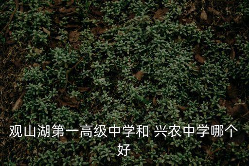 觀山湖第一高級中學和 興農中學哪個好
