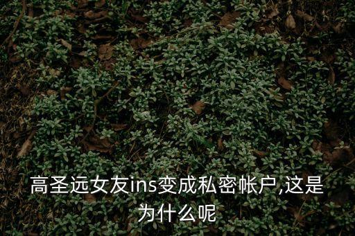 高圣遠女友ins變成私密帳戶,這是為什么呢