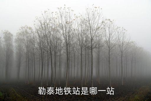 勒泰,唐山勒泰中心開發商是山西省一家公司