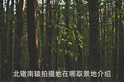 將府公園,北園還是南園將府公園鐵軌在哪里?