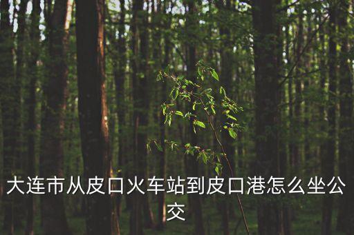 皮口站,從火車站到口口港怎么走?