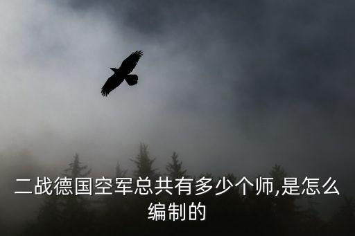 二戰(zhàn)德國空軍總共有多少個師,是怎么編制的