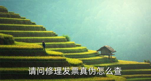 請問修理發票真偽怎么查