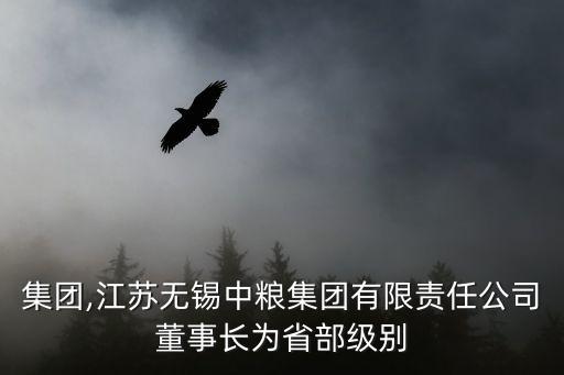 蘇糧集團,江蘇無錫中糧集團有限責任公司董事長為省部級別