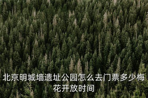 北京明城墻遺址公園怎么去門票多少梅花開放時間