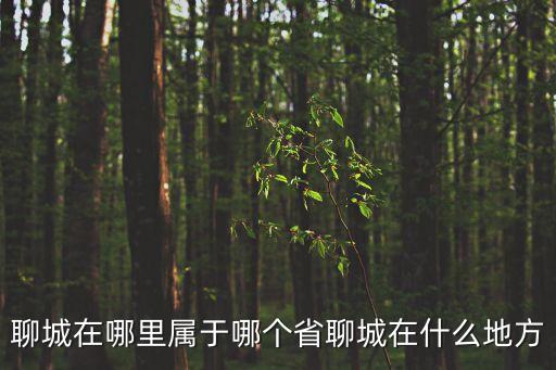 聊城市是哪個省,公務員考試:聊城是哪個省的?