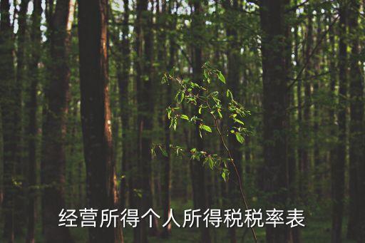經營所得個人所得稅稅率表