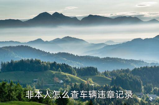 非本人怎么查車輛違章記錄