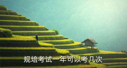 規(guī)培考試一年可以考幾次