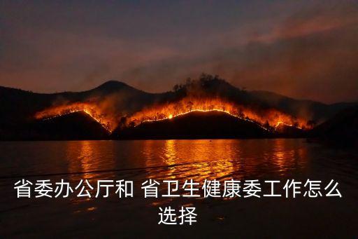 省委辦公廳和 省衛生健康委工作怎么選擇
