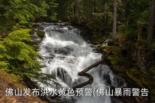 佛山發(fā)布洪水黃色預(yù)警(佛山暴雨警告
