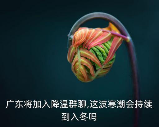 廣東將加入降溫群聊,這波寒潮會持續(xù)到入冬嗎