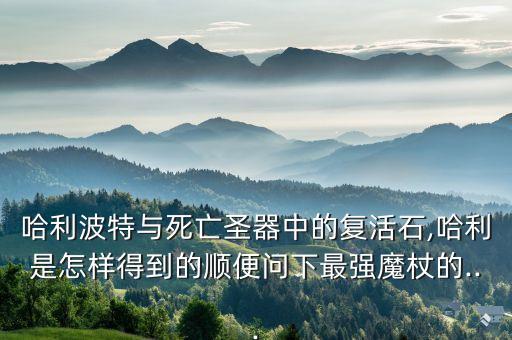 哈利波特與死亡圣器上,《哈利波特與死亡圣器》主要講述了什么故事?