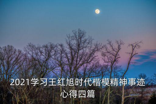 2021學(xué)習(xí)王紅旭時代楷模精神事跡心得四篇