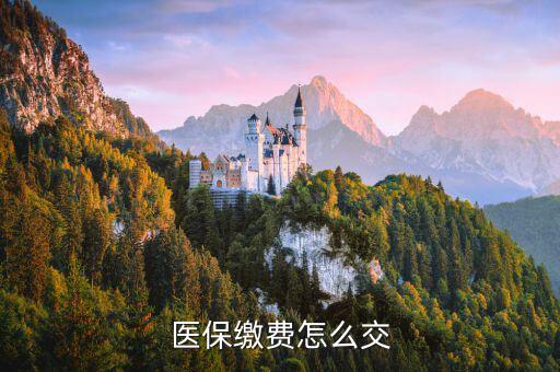 醫(yī)保怎么交,醫(yī)保繳費(fèi)怎么交?醫(yī)?？ㄔ趺崔k