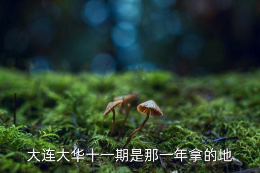 大連大華十一期是那一年拿的地