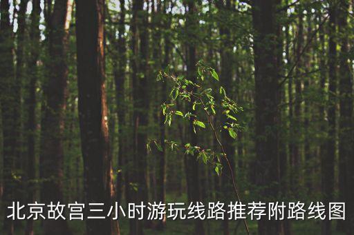 北京故宮三小時游玩線路推薦附路線圖