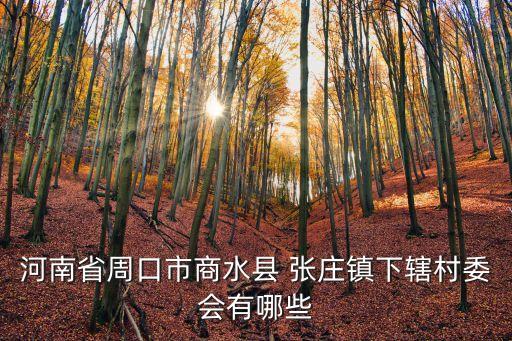 張莊鎮(zhèn),張莊鎮(zhèn)下轄村委會有哪些?