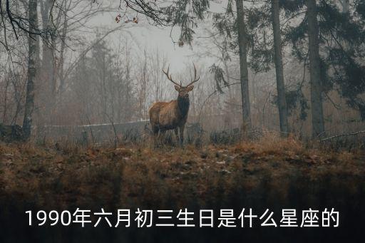 1990年六月初三生日是什么星座的