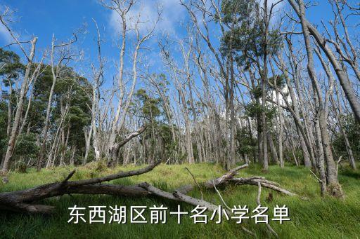 常青樹實驗學校,常青第一學校和常青樹哪個好?都在常青花園
