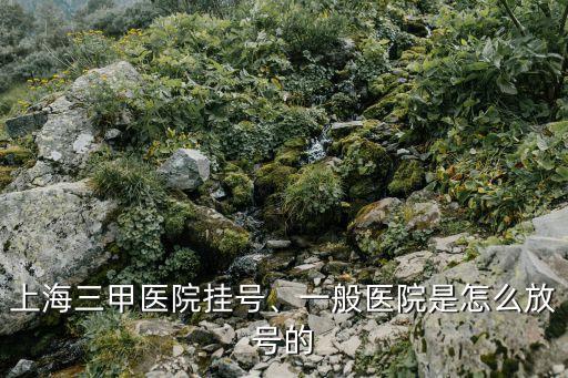 上海三甲醫(yī)院掛號(hào)、一般醫(yī)院是怎么放號(hào)的