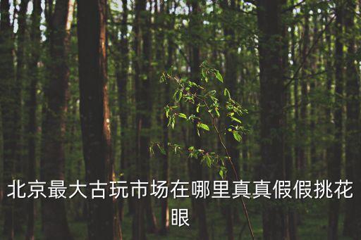 北京最大古玩市場在哪里真真假假挑花眼
