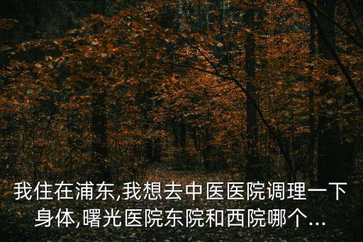 曙光醫院西院,上海中醫藥大學附屬曙光醫院的醫院概況