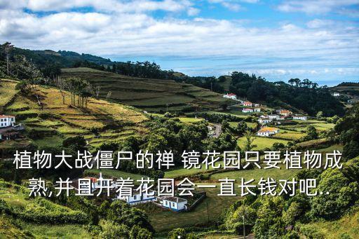 鏡花園,臺灣花園的春節民防措施