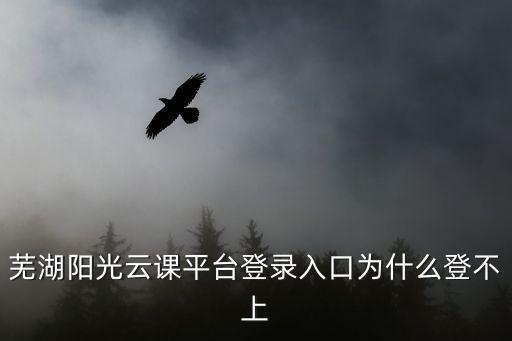 蕪湖陽光云課平臺登錄入口為什么登不上