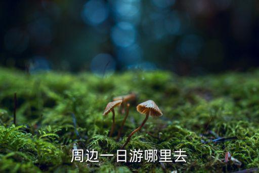 周邊一日游哪里去