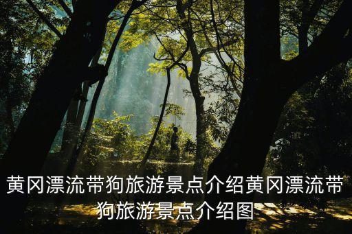 廬山桃花源漂流,江西省旅游景點廬山介紹:是中國山水文化精彩折射