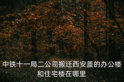 秦漢新城管委會(huì),西安站封頂儀式百余人參加封頂