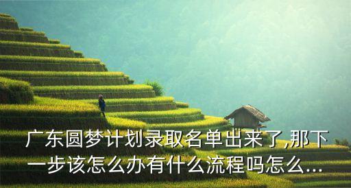  廣東圓夢計(jì)劃錄取名單出來了,那下一步該怎么辦有什么流程嗎怎么...