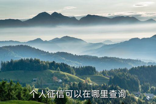 國家征信系統查詢,中國個人征信系統?