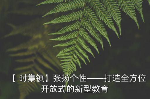 【 時集鎮】張揚個性――打造全方位開放式的新型教育