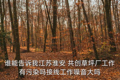 誰能告訴我江蘇淮安 共創草坪廠工作有污染嗎接線工作噪音大嗎
