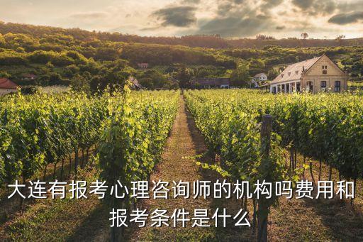 大連有報考心理咨詢師的機構嗎費用和報考條件是什么