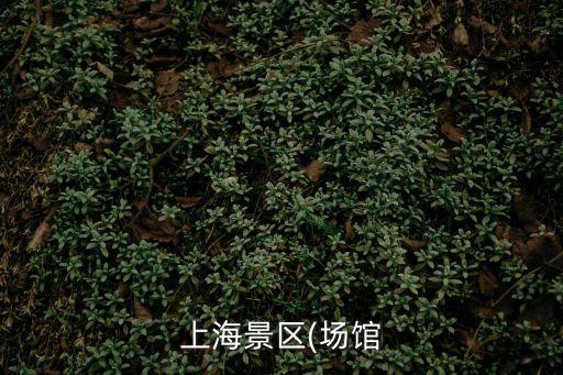 上海景區(場館