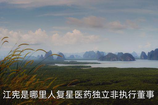 江憲是哪里人復星醫藥獨立非執行董事