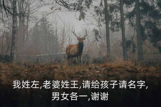 我姓左,老婆姓王,請給孩子請名字,男女各一,謝謝
